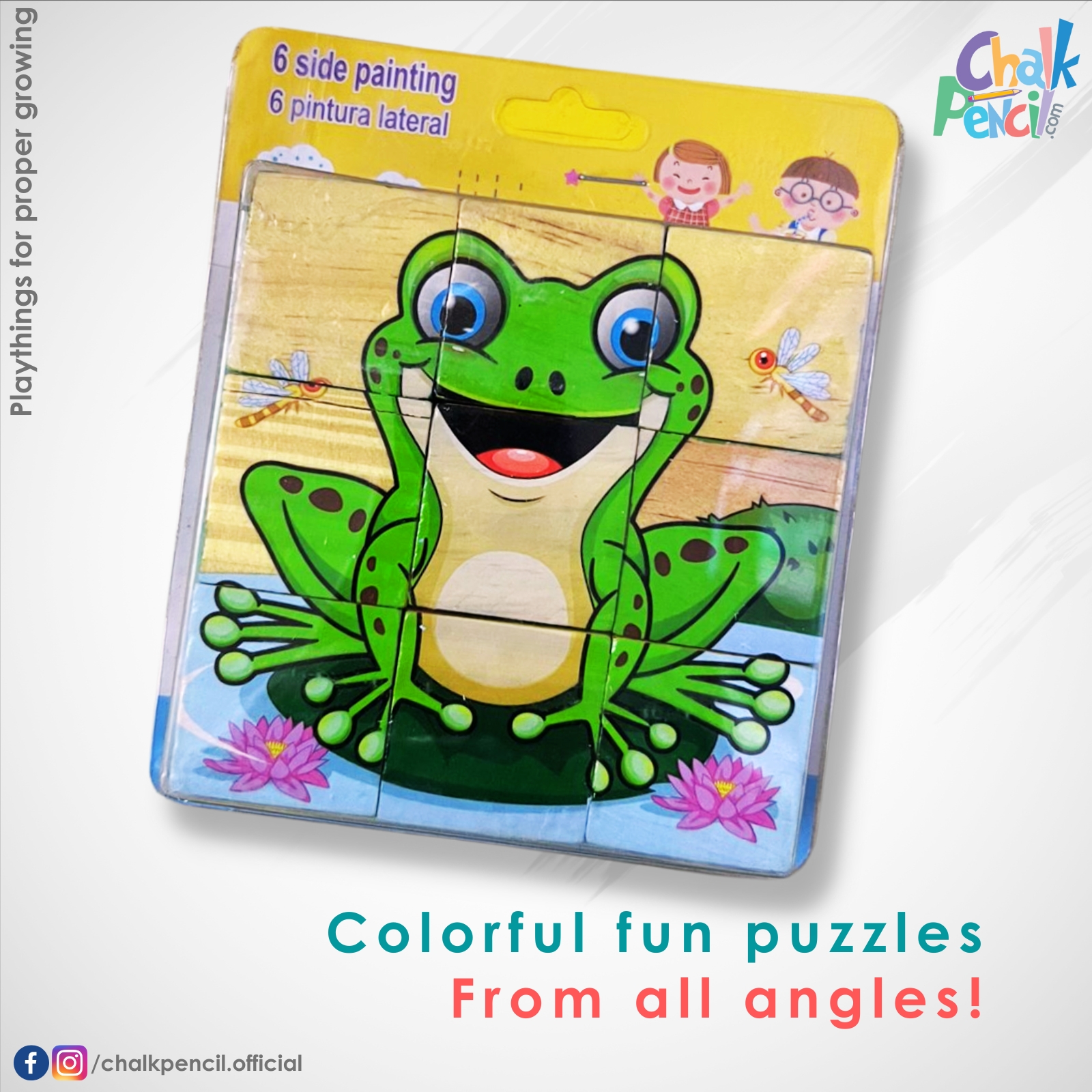 6 Side Painting Frog Puzzle Set